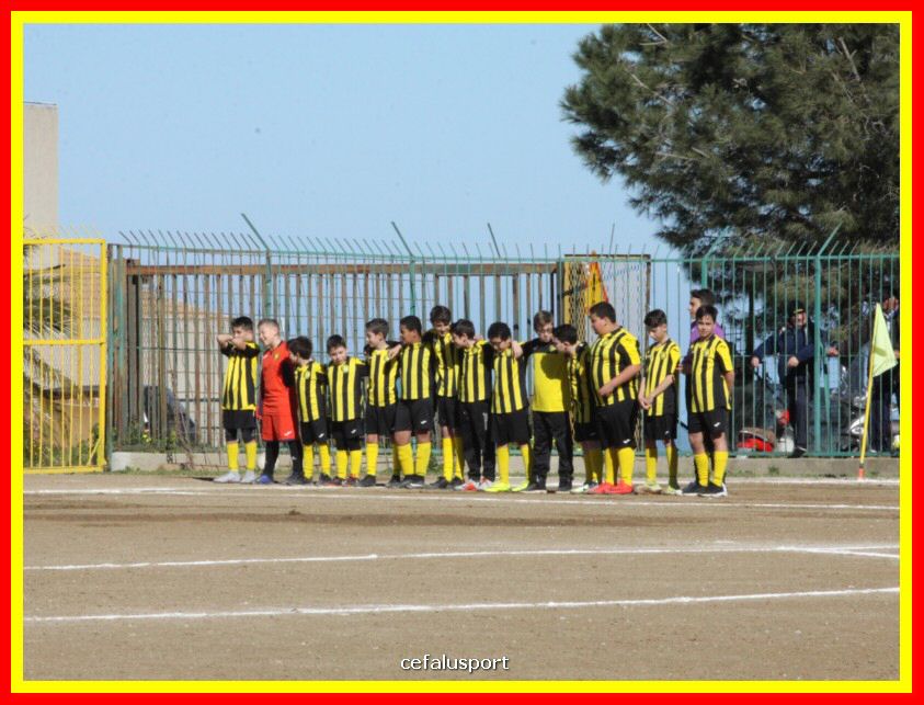 190310 Cephal_Torrenov 017_tn.jpg